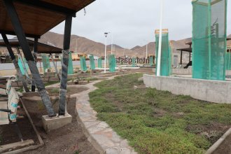 WhatsApp Image 2025-10-07 at 08.53.18.jpeg